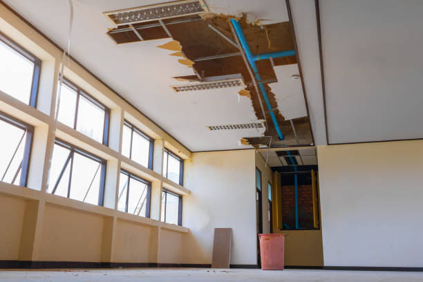 Best Carpet water damage restoration  in Chalco, NE