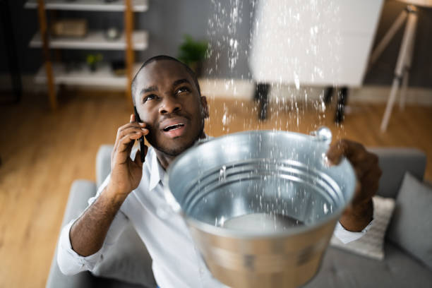  Chalco, NE Water damage restoration Pros
