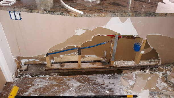 Best Water damage repair service  in Chalco, NE