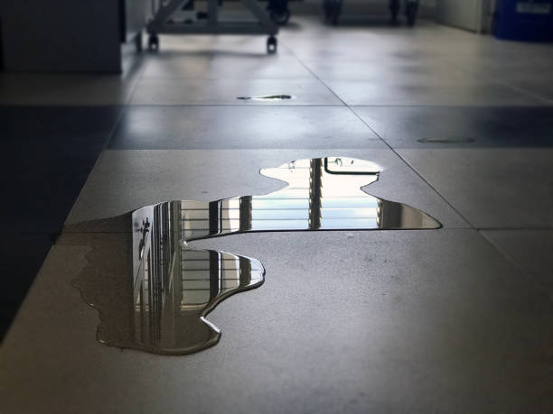 Best Water damage restoration near me  in Chalco, NE