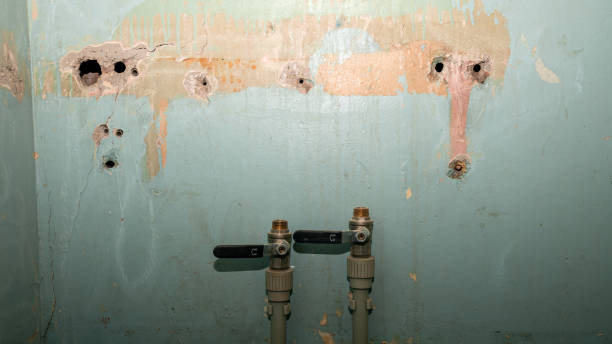 Best Water damage restoration experts  in Chalco, NE
