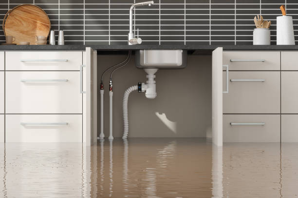 Best Professional water damage repair  in Chalco, NE