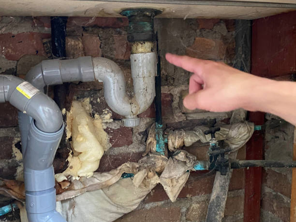 Best 24-hour water damage restoration  in Chalco, NE