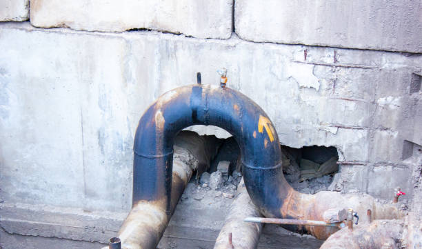 Best Flood damage cleanup  in Chalco, NE