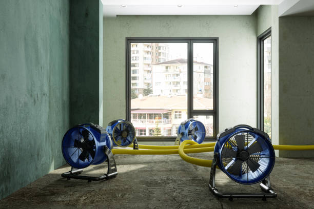 Reliable NE Water damage restoration Solutions