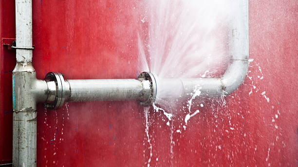 Best Basement water damage restoration  in Chalco, NE